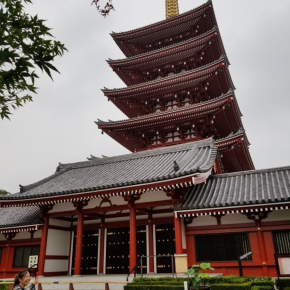 Meet your posher, Bonita - Picture 2 of 4